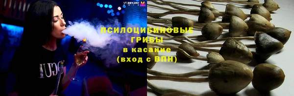 стафф Алексин