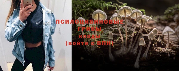 стафф Алексин