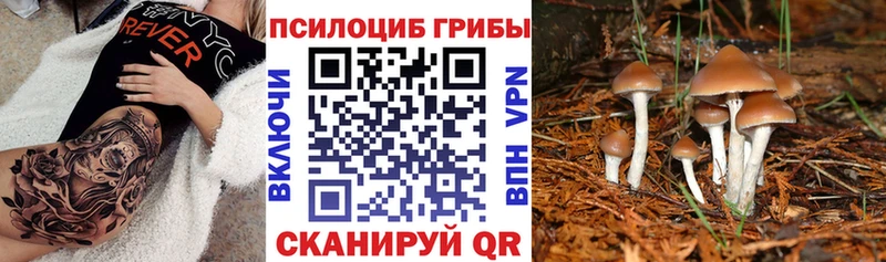 Псилоцибиновые грибы Cubensis  Яровое 
